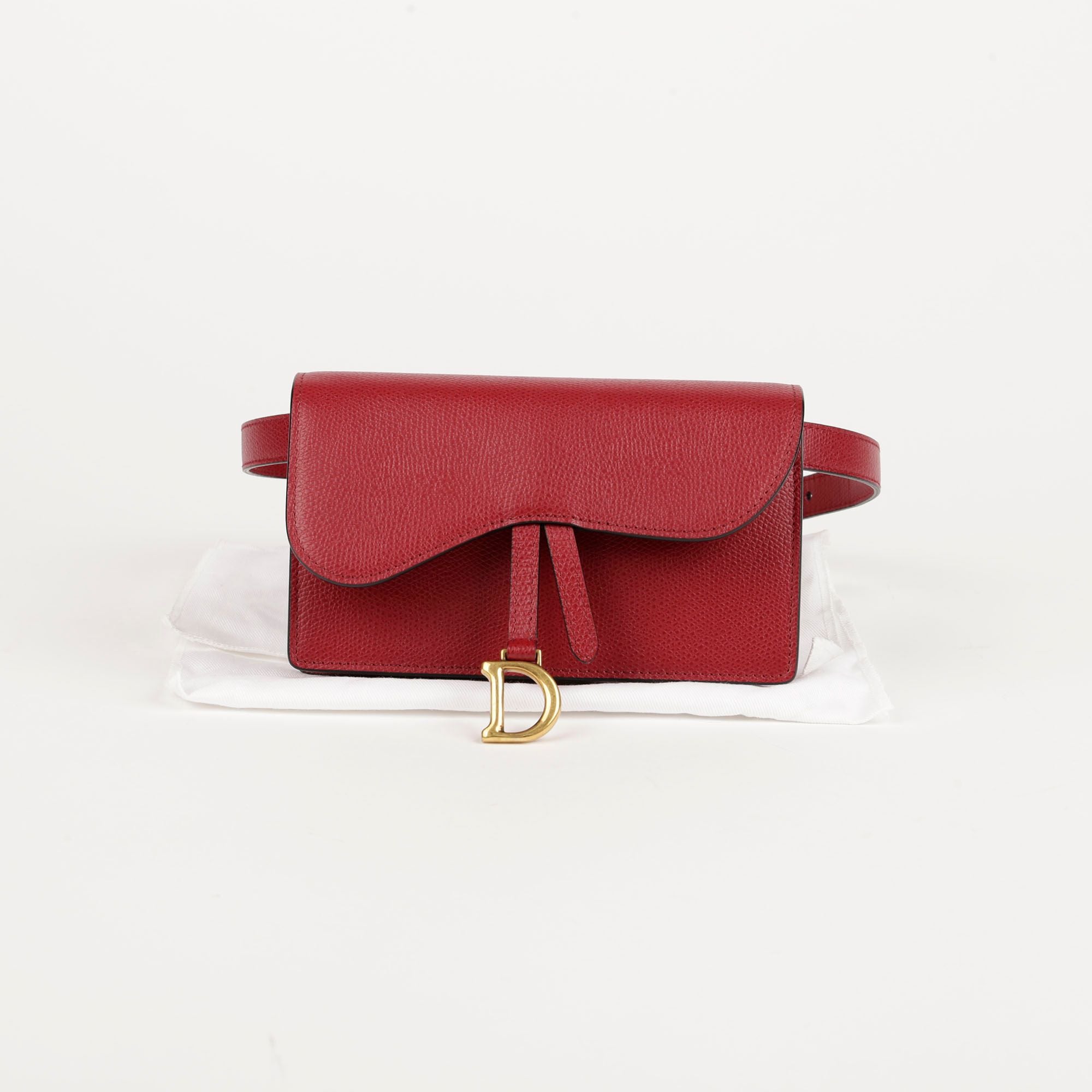 Dior Saddle Pouch Belt Bag S5619CWVG