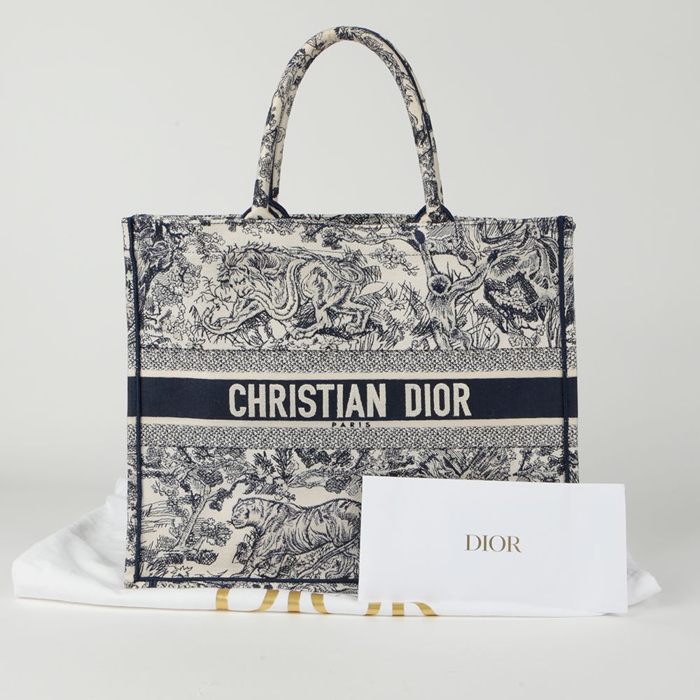 Dior Twal De Juy Embroidered North Tote Bag M1286ZTDT