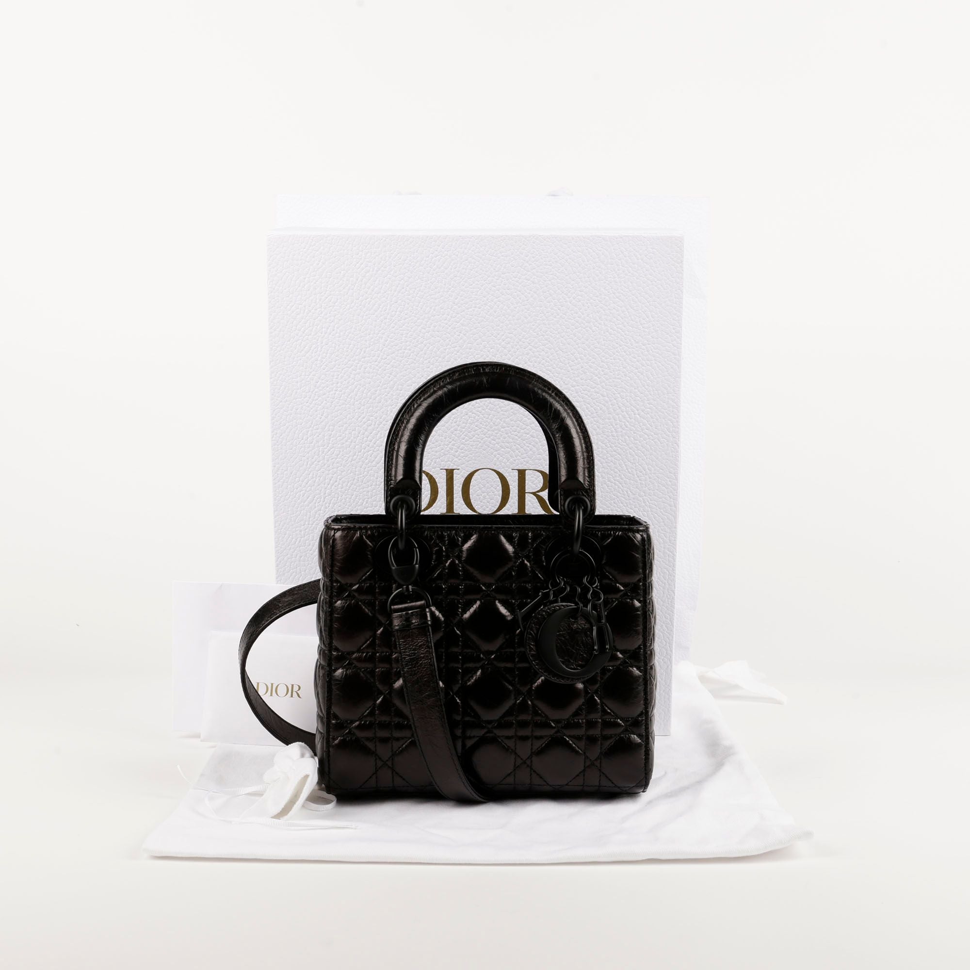 Dior Lady Small Tote and Shoulder Bag M0531SNIN - SKU