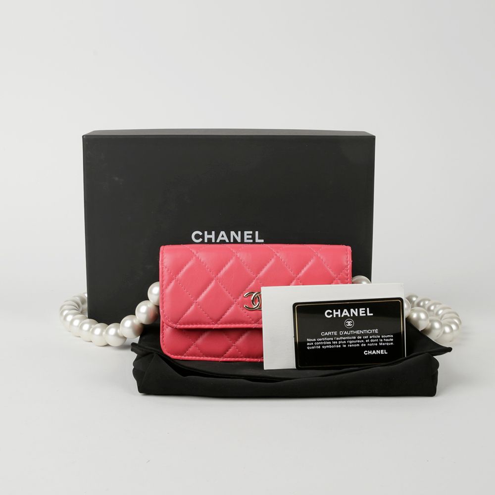 CHANEL Pearl Strap Mini WOC & Crossbody Bag AP1898