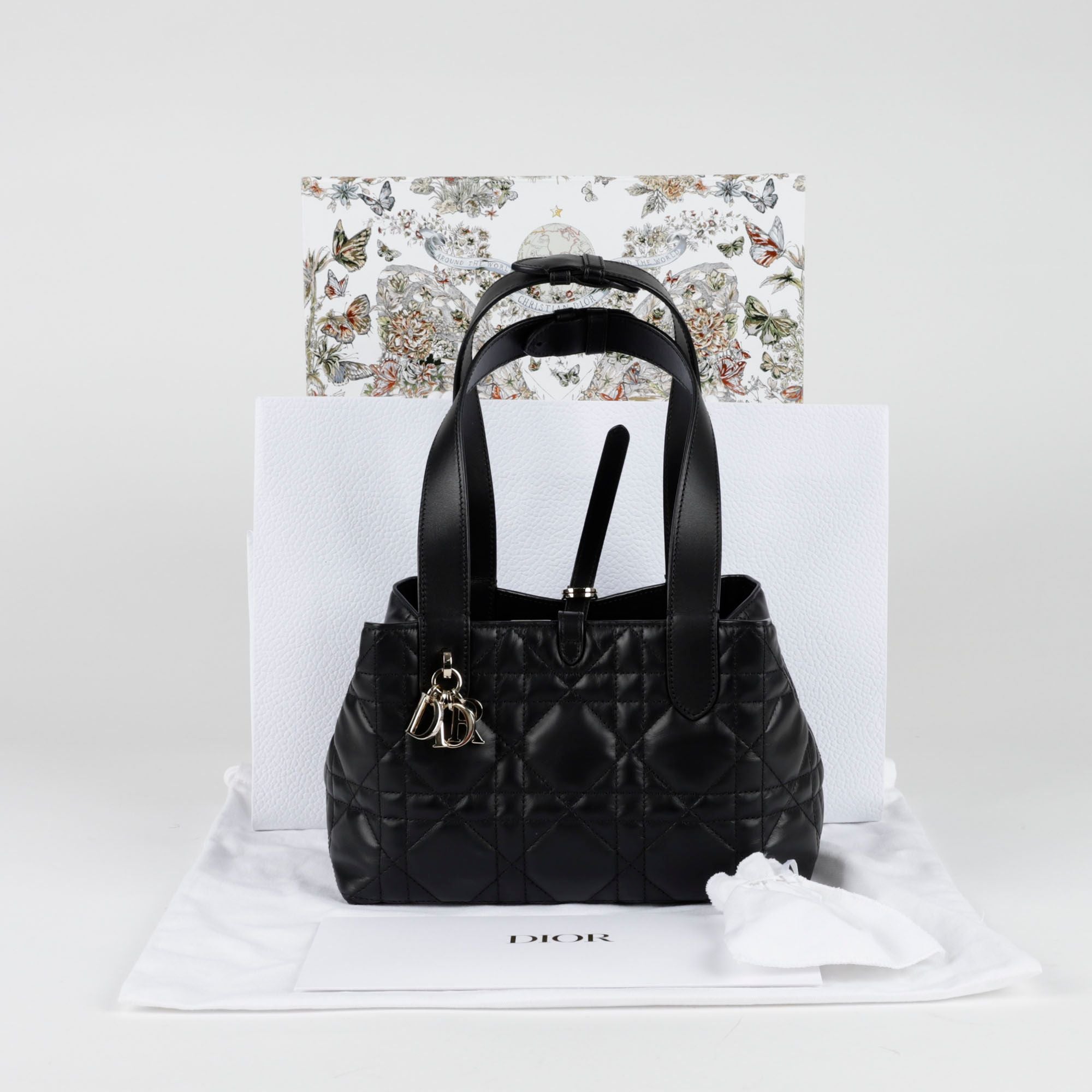 Dior Small Tote Bag M2822OSHJ