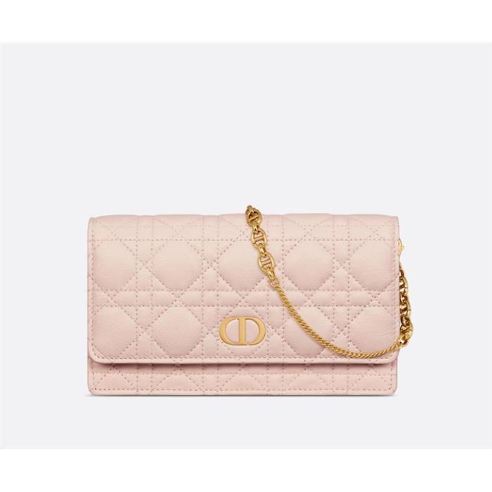 Dior Caro Pouch Bag Clutch Bag S5134UWHC_M413