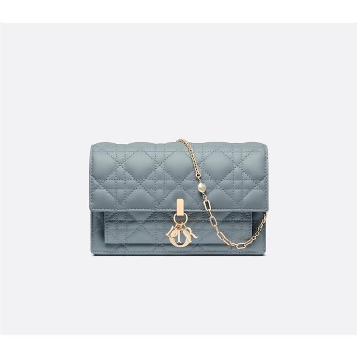 Dior My Daily Chain Pouch Crossbody Shoulder Bag S0937ONMJ
