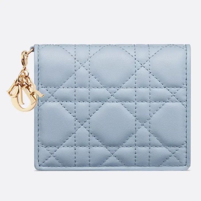 Dior Mini Wallet S0178ONMJ_M23B