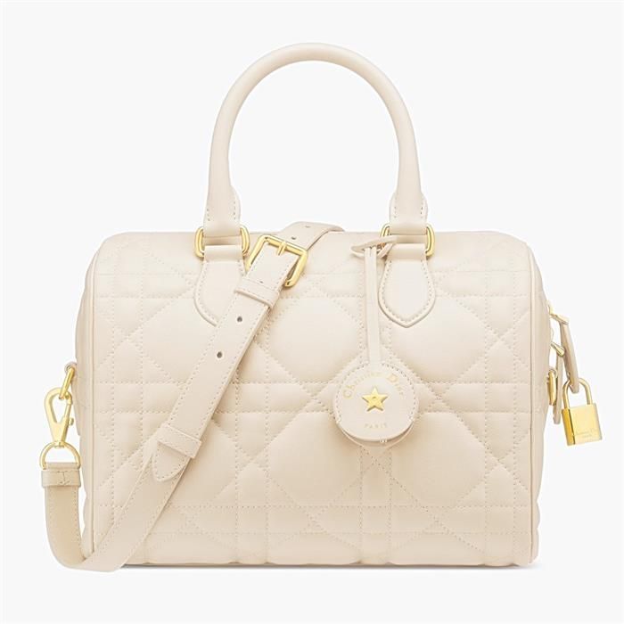 Dior 25L Backpack M1365UBOL_M49U