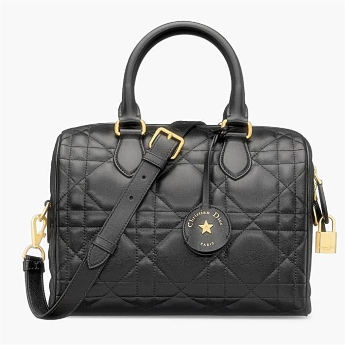 Dior Groove 25 Backpack