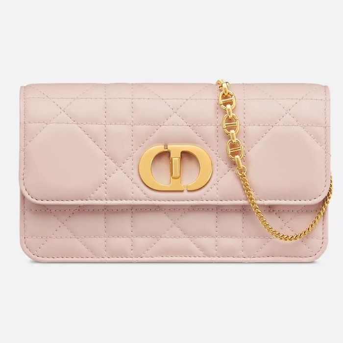 Dior Chain Pouch S5225UDAX_M413