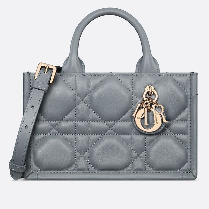 Dior Mini Tote Bag S5573OWHP_M81B