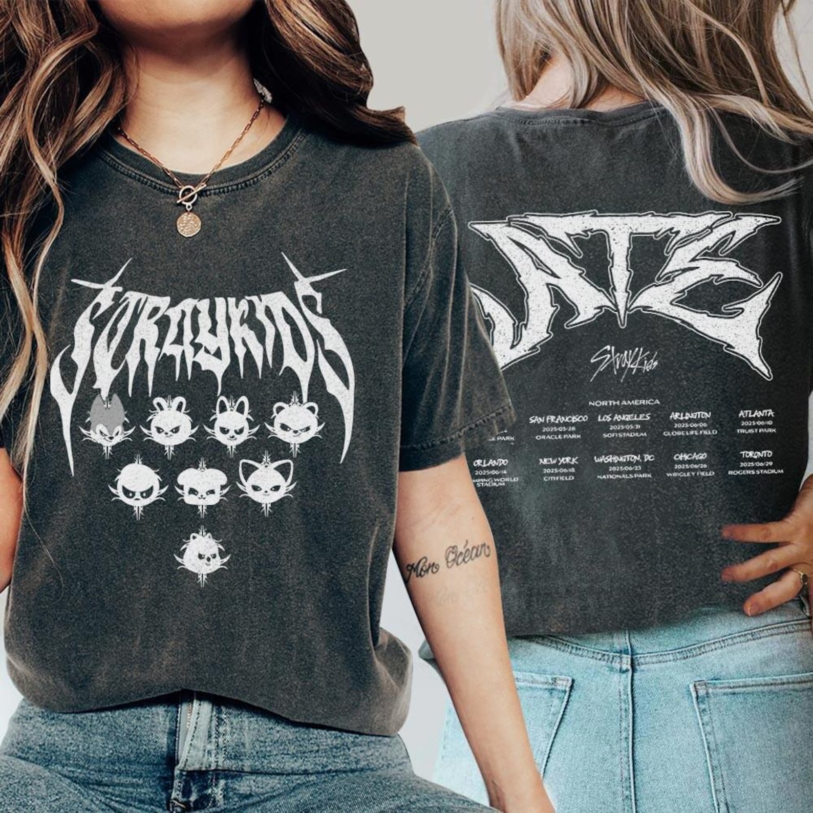 Stray Kids Domin Ate 2025 World Tour Shirt, Straykids Ate World Tour Fan Shirt, Stray Kids Merch