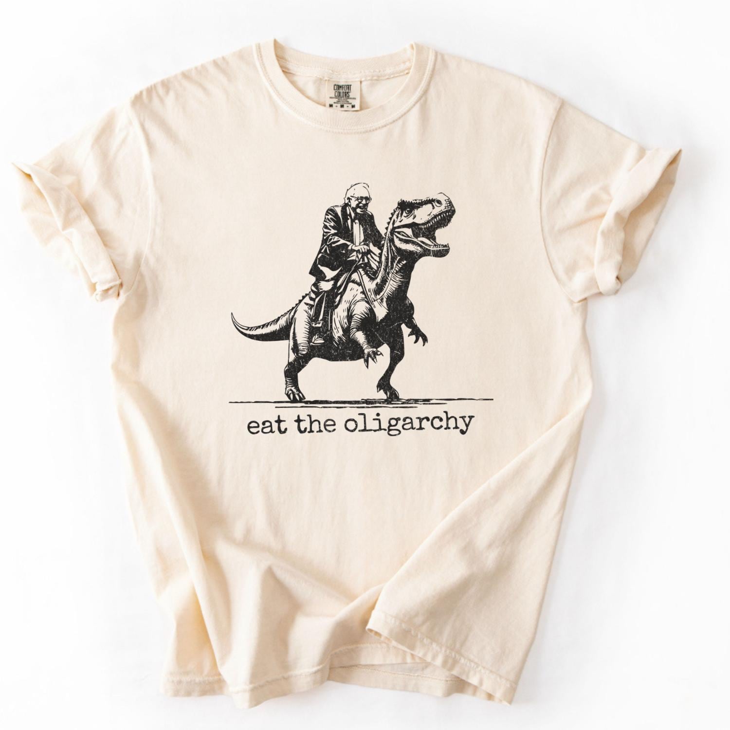 Bernie Sanders, Fight Oligarchy Tour Shirt, ResisShirt