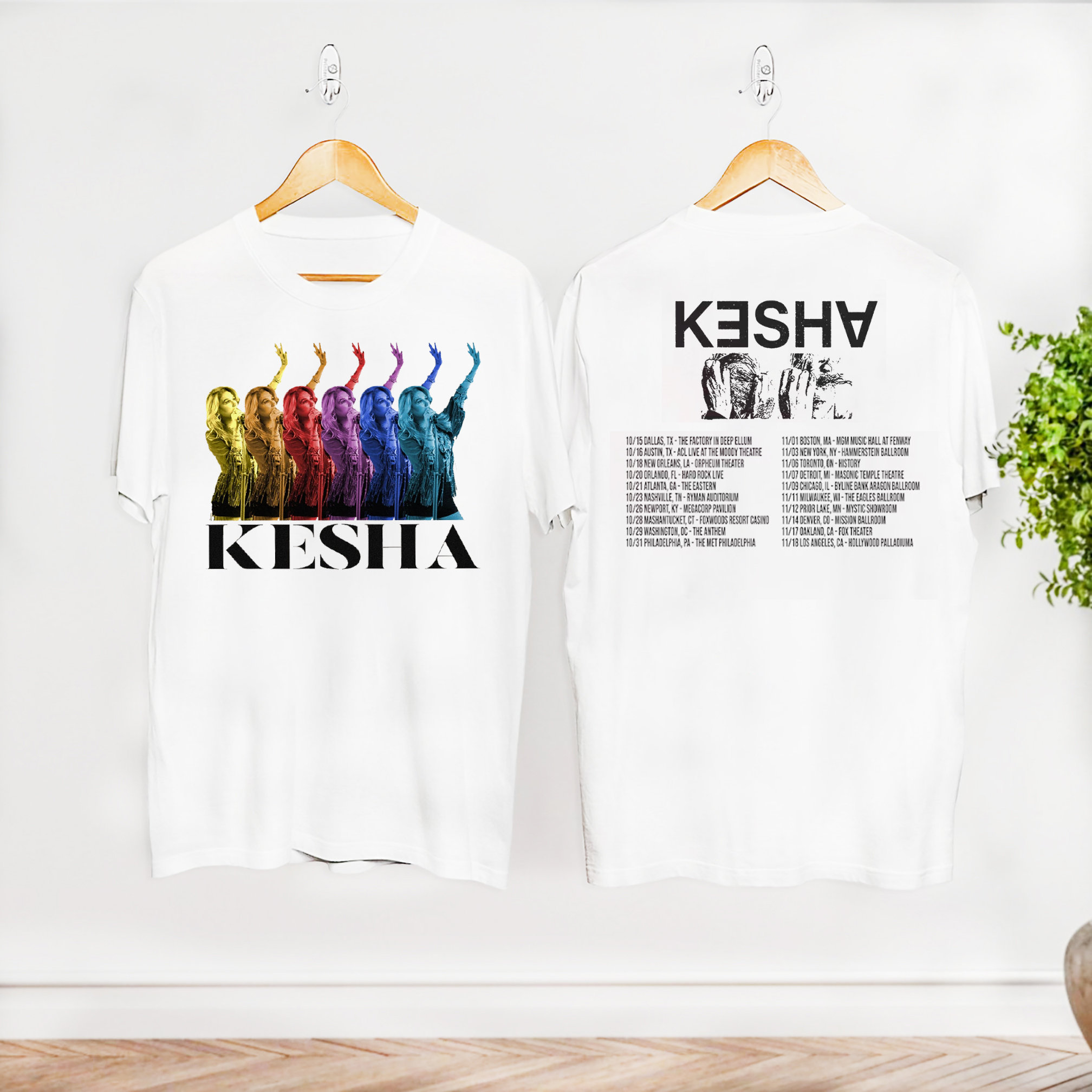 Fall Tour The Gag Order Kesha T-Shirt, Kesha Concert Merch, Kesha Fan GifShirt