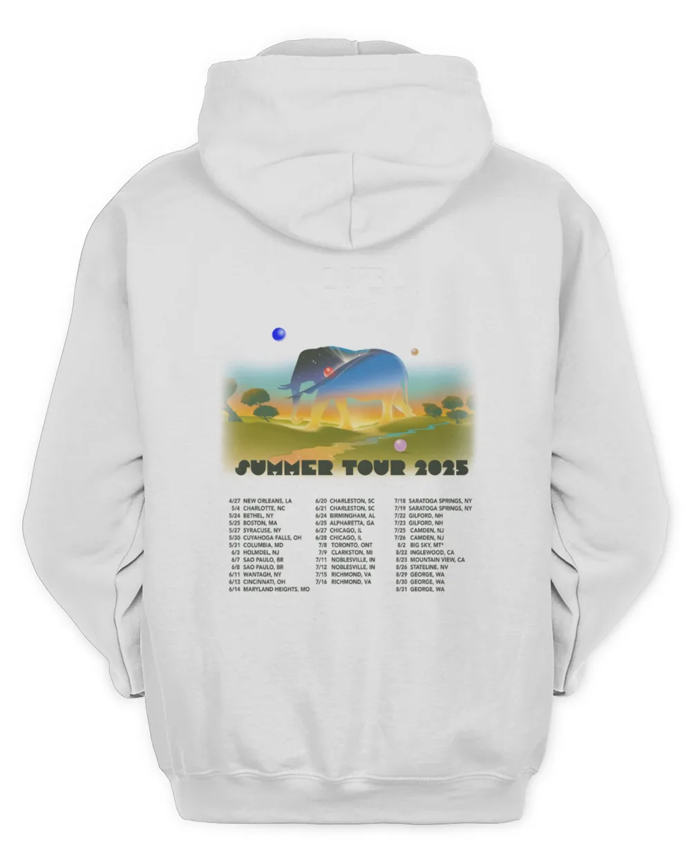 Exclusive Dmb 2025 Summer Tour Hoodie Now Available