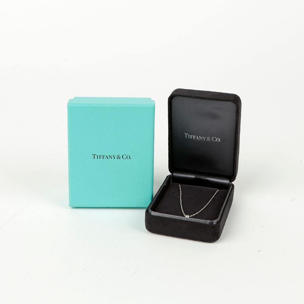 Tiffany & Co Elsa Peretti 1P Single By The Yard Necklace 105389044