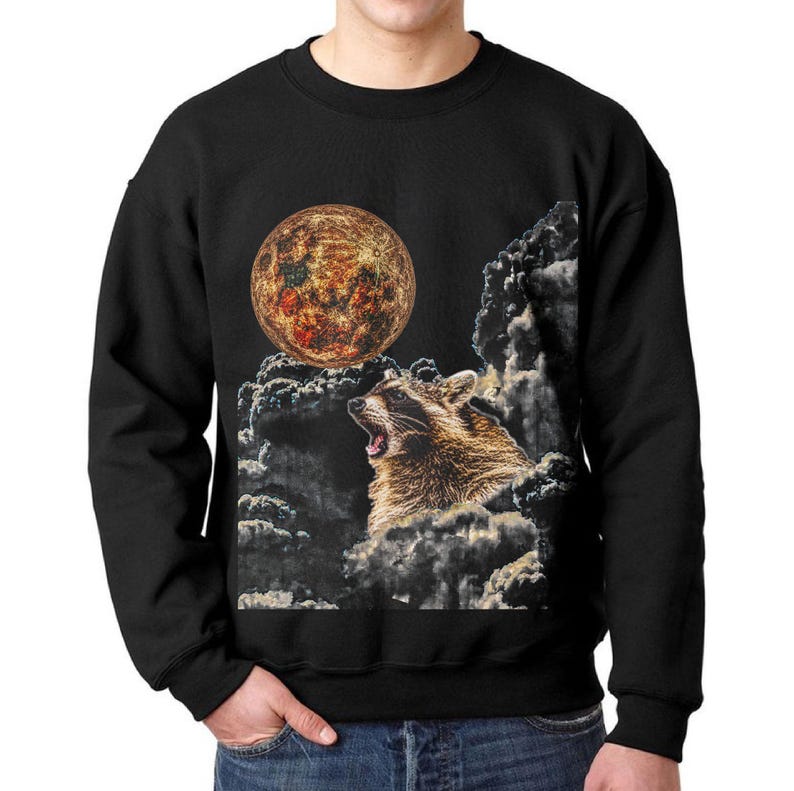 Raccoon And The Moon Shirt Gildan 64000 Whimsical Animal Graphic Shirt