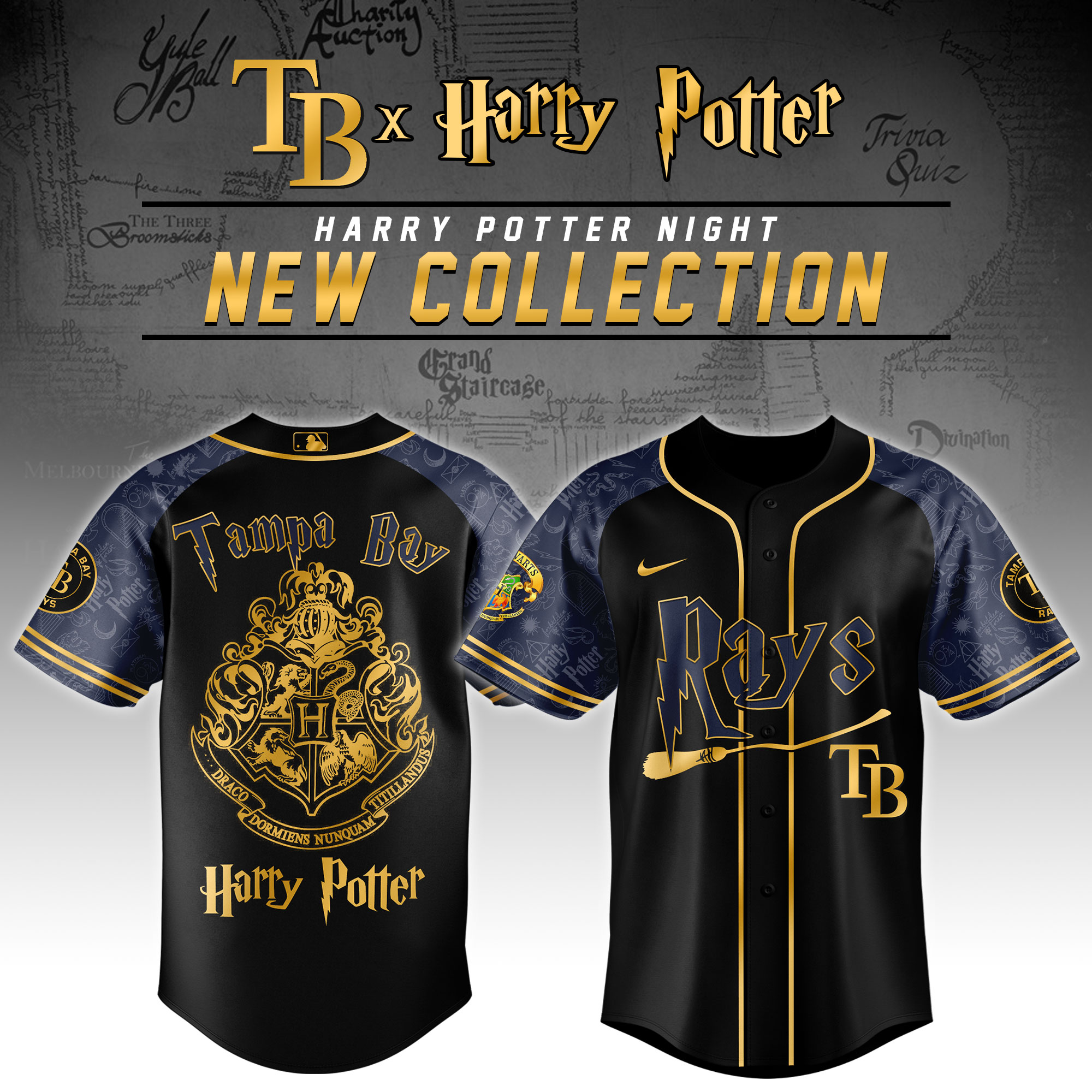 Tampa Bay Rays x Harry Potter Night Baseball Jersey For Men And Women