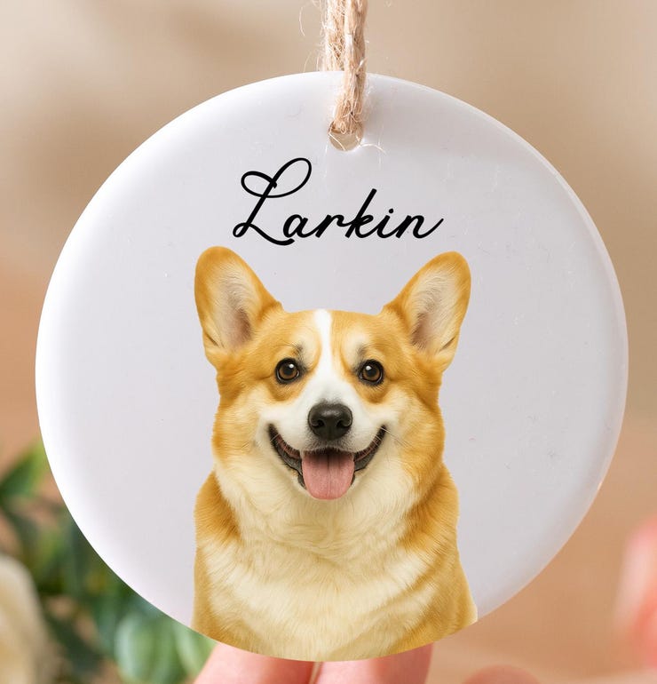2025 Ceramic Christmas Ornament Dog Cat Photo Ornament 
