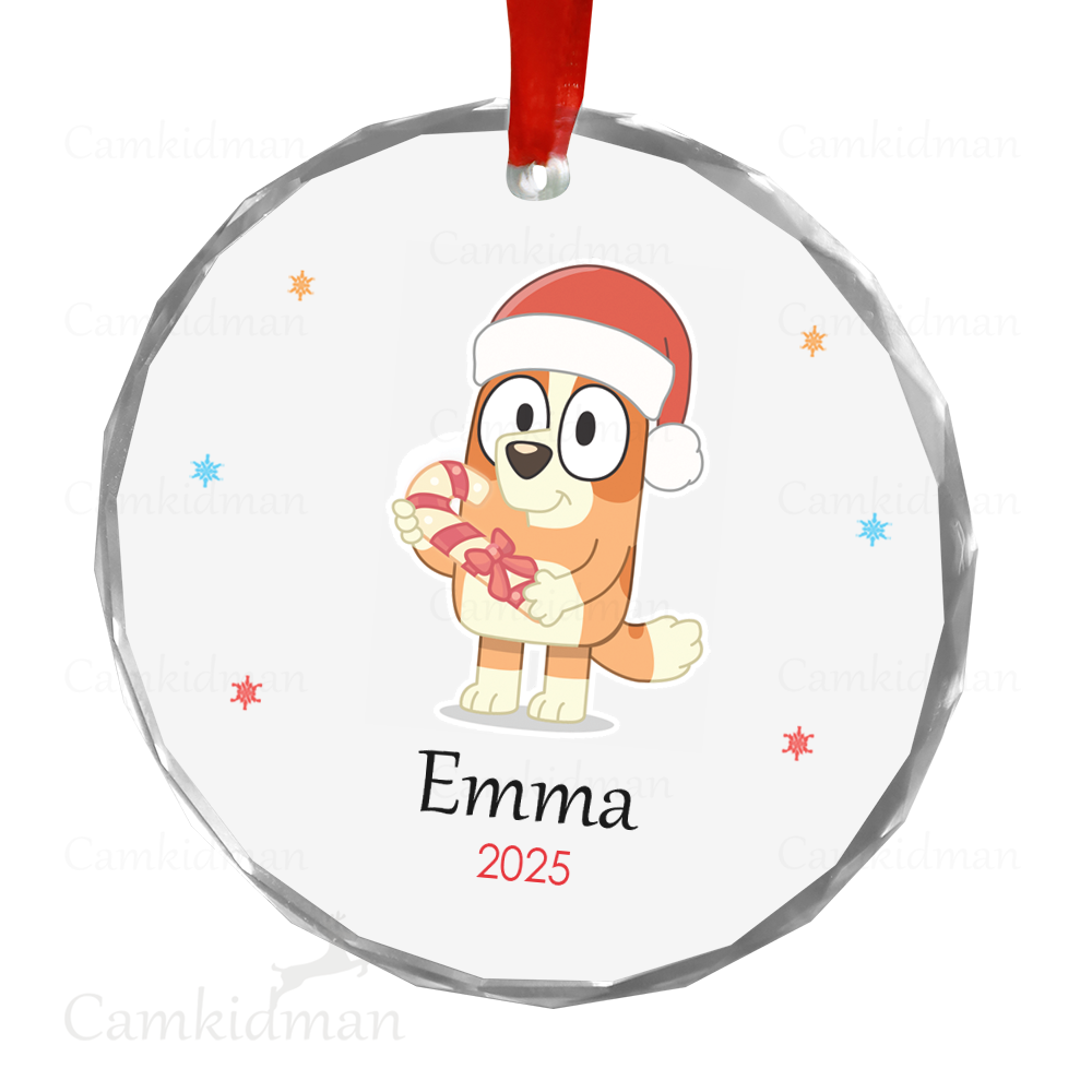 Personalized Name Cartoon Owl Santa Hat 2025 Christmas Ceramic Ornament Glass Ornament gifts