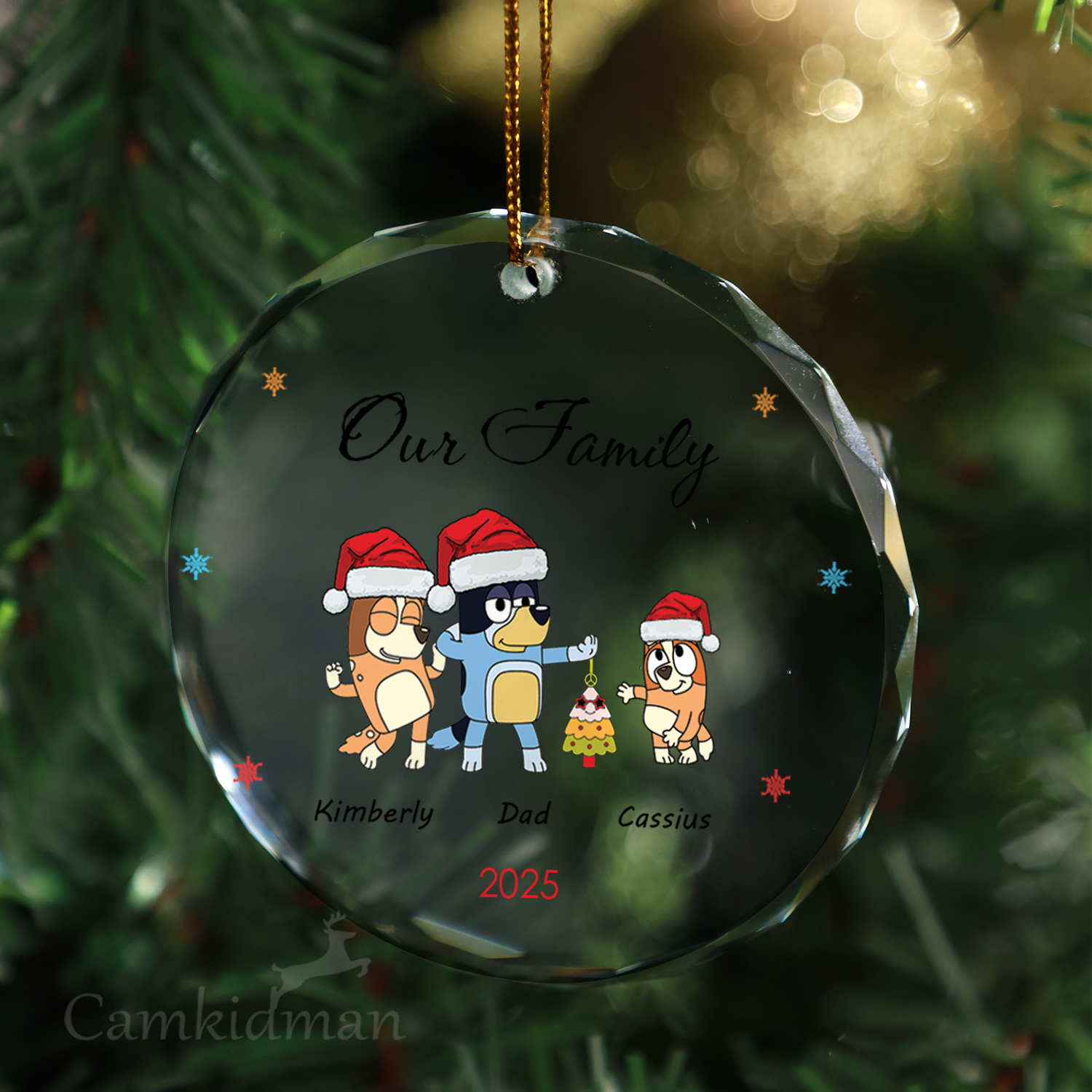 Our Family Personalized Name 2025 Glass Ornament gifts family