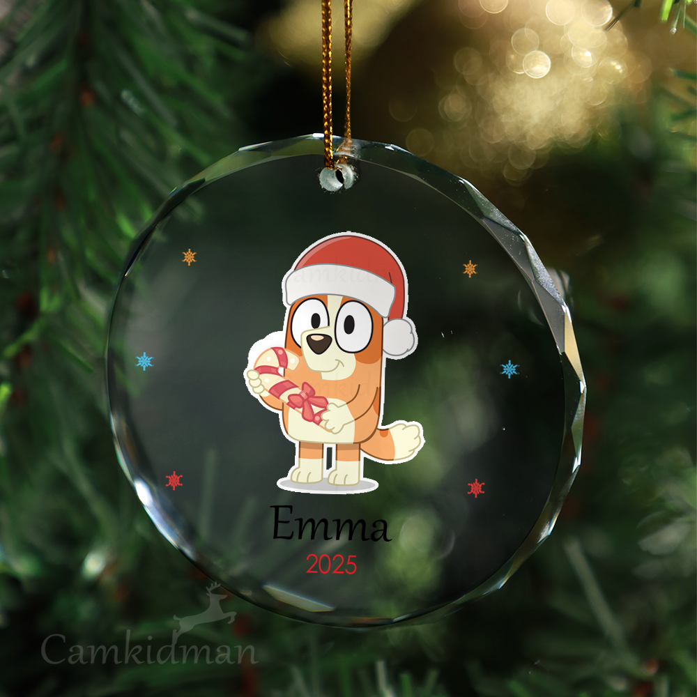 Cartoon Owl Santa Hat Personalized Name 2025 Glass Ornament gifts