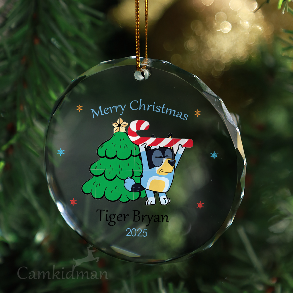 Bluey children's gifts Glass Christmas Ornament 2025 Personalized Name gifts