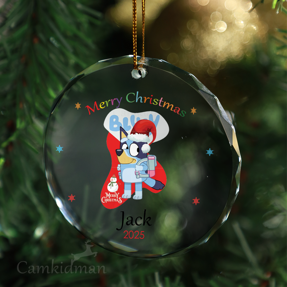 Bluey Stocking Personalized Name 2025 Christmas Glass Ornament gifts family