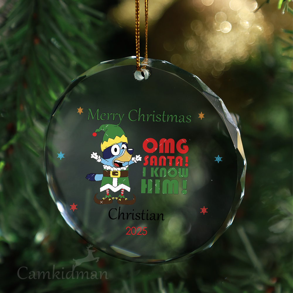 Bluey Cartoon Family Personalized Name 2025 Glass Ornament 