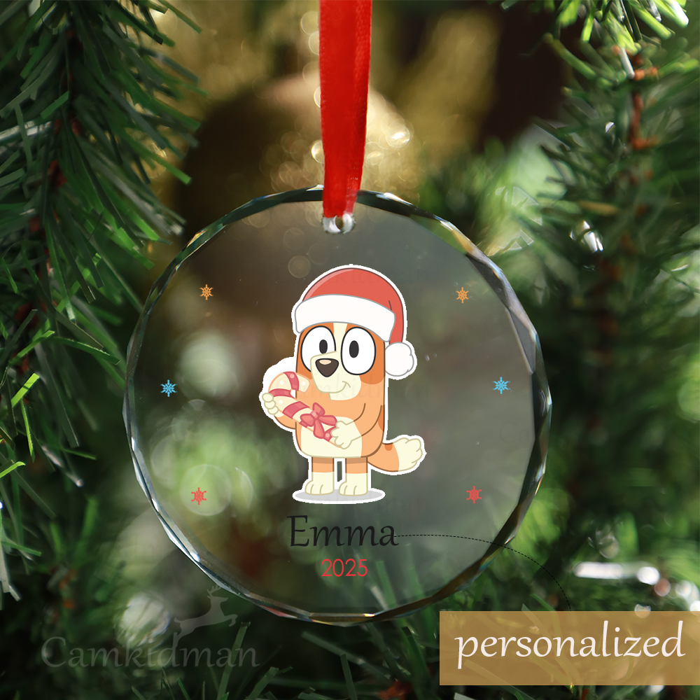 Personalized Name Cartoon Owl Santa Hat 2025 Christmas Glass Ornament gifts