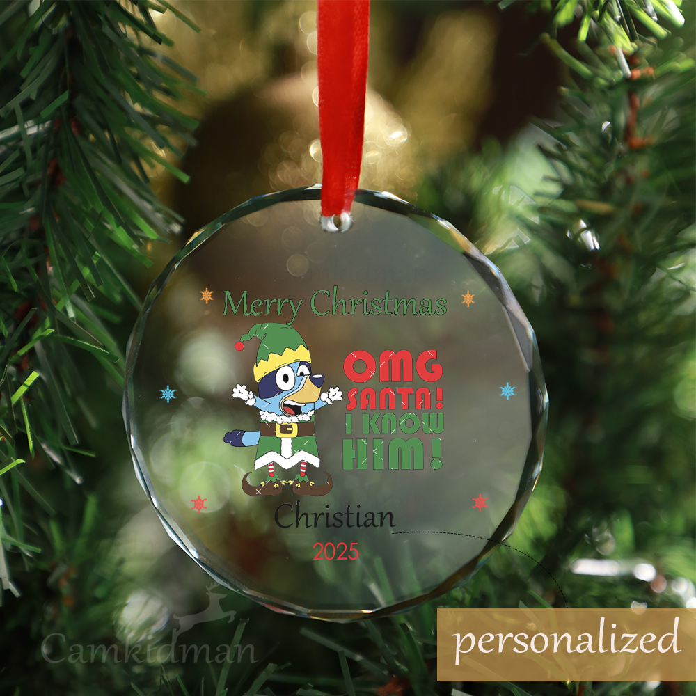Personalized Name Bluey Cartoon Family Christmas 2025 Glass Ornament