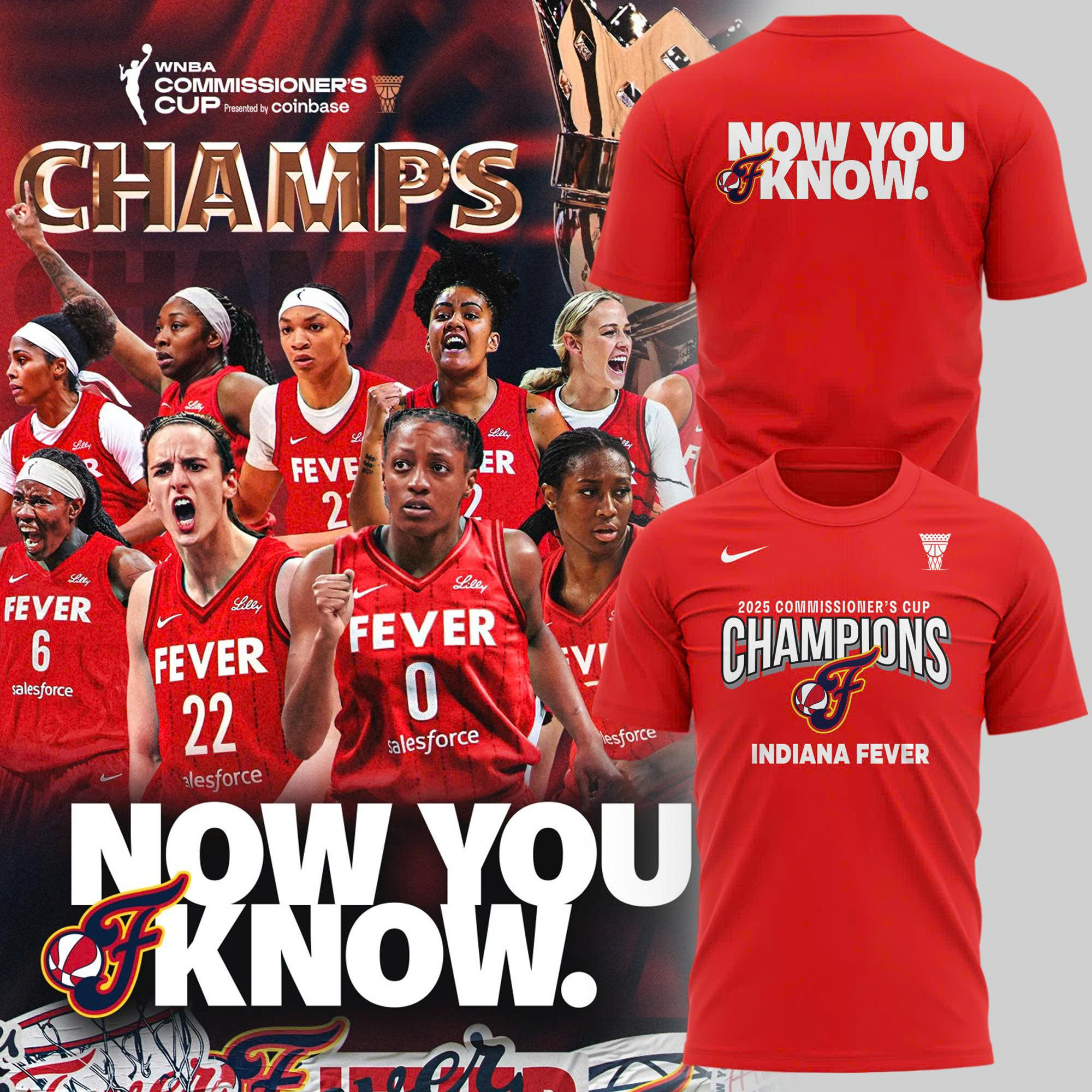 2025 WNBA Commissioners Cup Champions Shirt