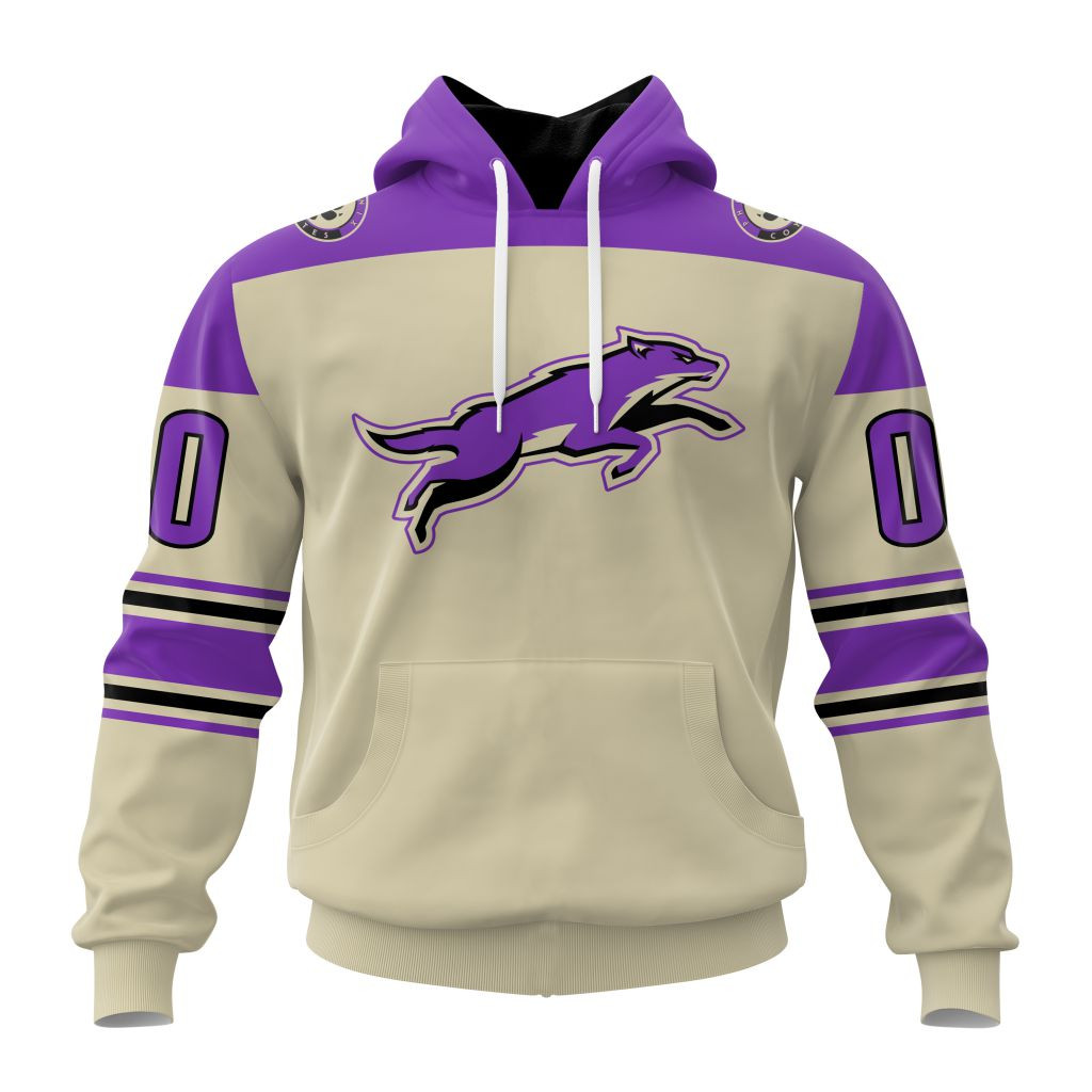 Arizona Coyotes Special Reverse Retro Design Concept Hoodie 