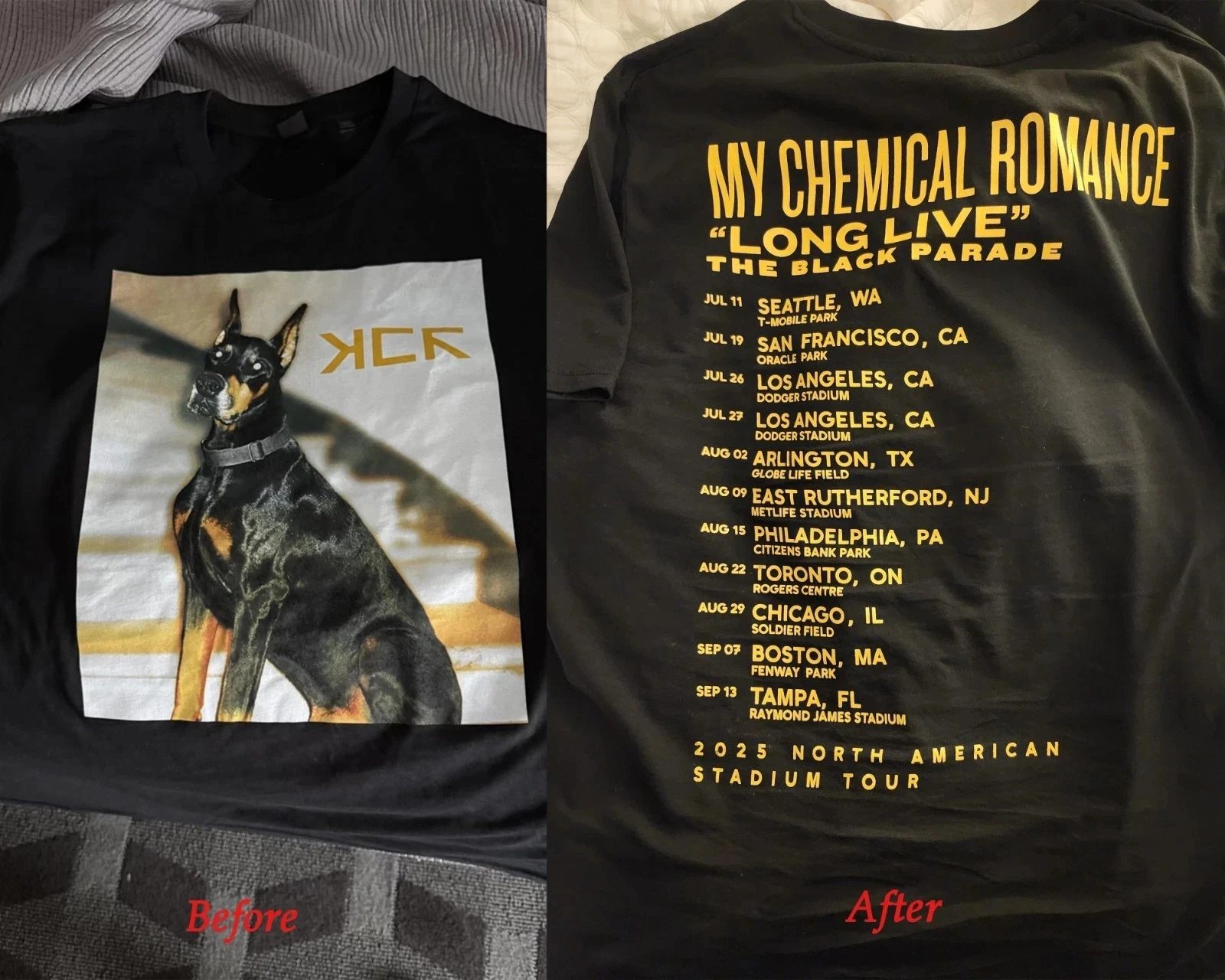 My Chemical Romance 2025 Tour Shirt