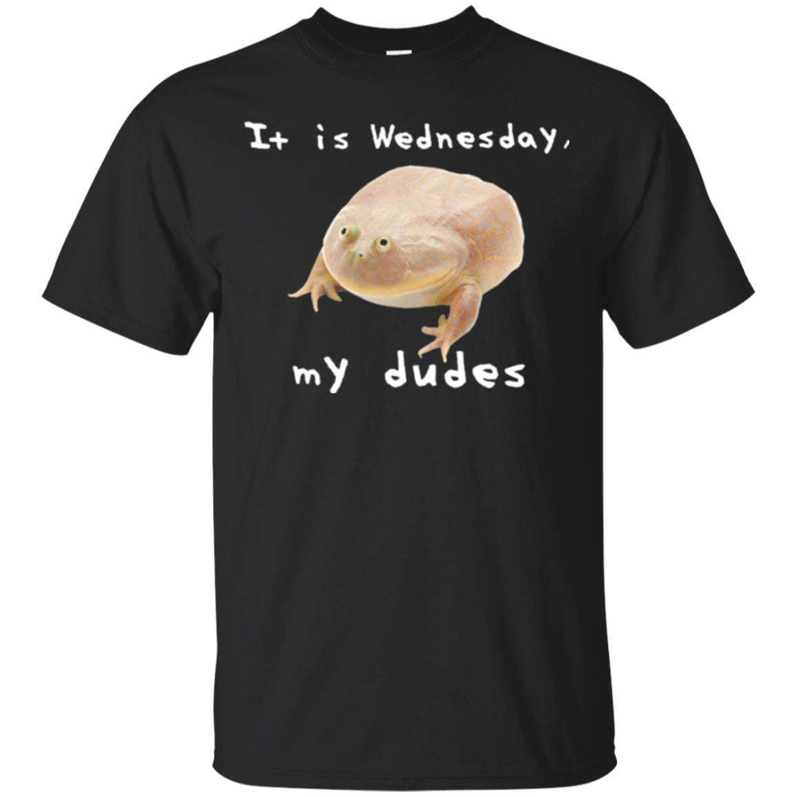Funny Frog It Is Wednesday My Dudes T-Shirt 