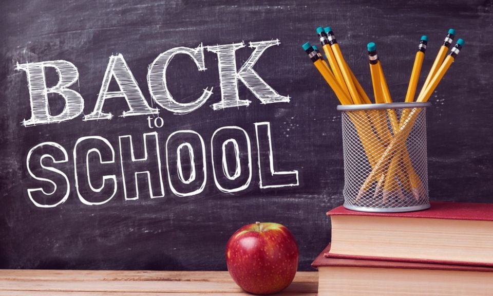 120 Back to School Quotes Funny to Create A Friendly Learning Environment