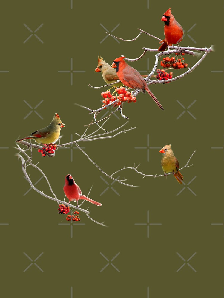 Cardinals Perching On Branches Unisex Graphic T Shirt Short Sleeve Tee Everyday Casual Wear 3