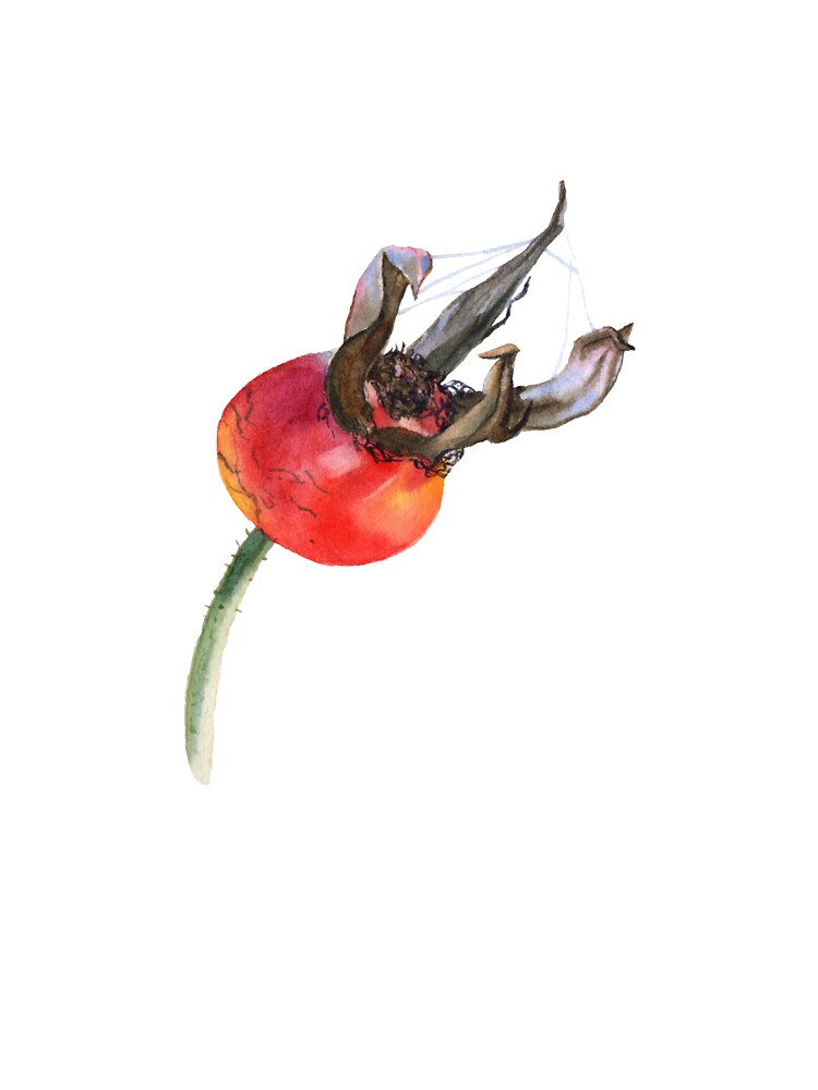 Red Rose Hip In Watercolour  Unisex Graphic T Shirt  Short Sleeve Tee Everyday Casual Wear 3
