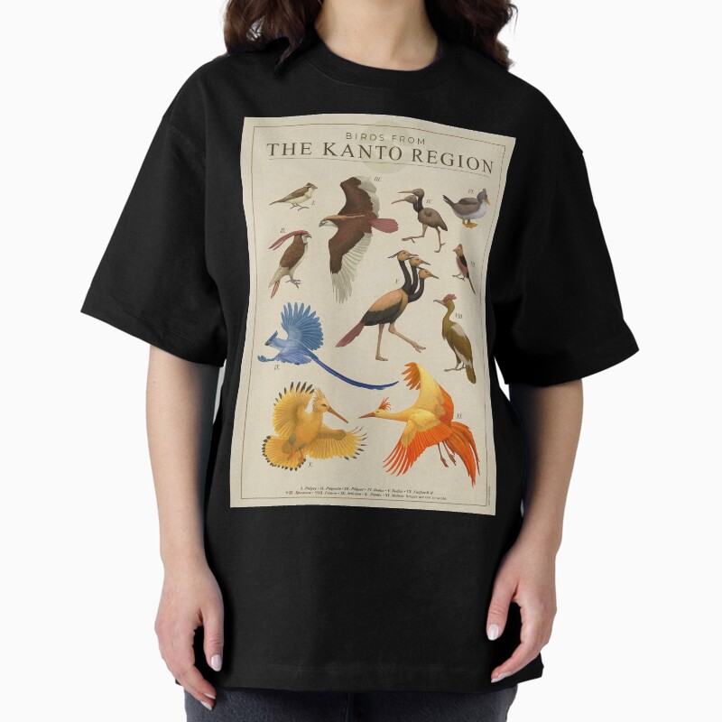 Birds Of Kanto Unisex Graphic T Shirt  Short Sleeve Tee Everyday Casual Wear 2
