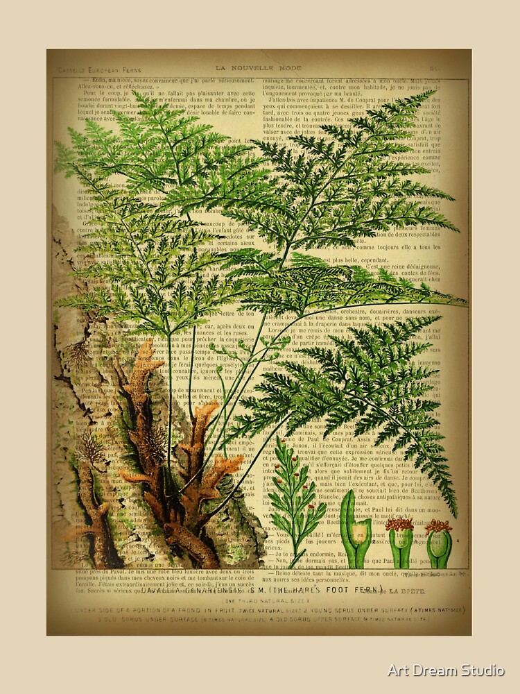 Botanical Print, On Old Book Page - Fern Unisex Graphic T Shirt Short Sleeve Tee Everyday Casual Wear 3