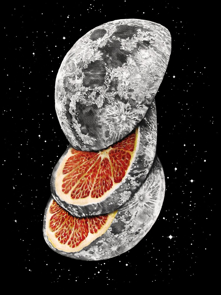 Lunar Fruit Unisex Graphic T Shirt Short Sleeve Tee Everyday Casual Wear 3