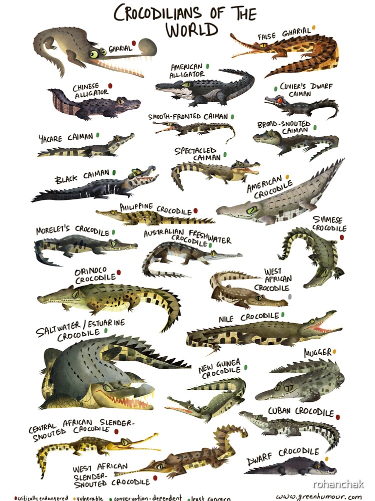 Crocodilians Of The World Unisex Graphic T Shirt Short Sleeve Tee Everyday Casual Wear 3