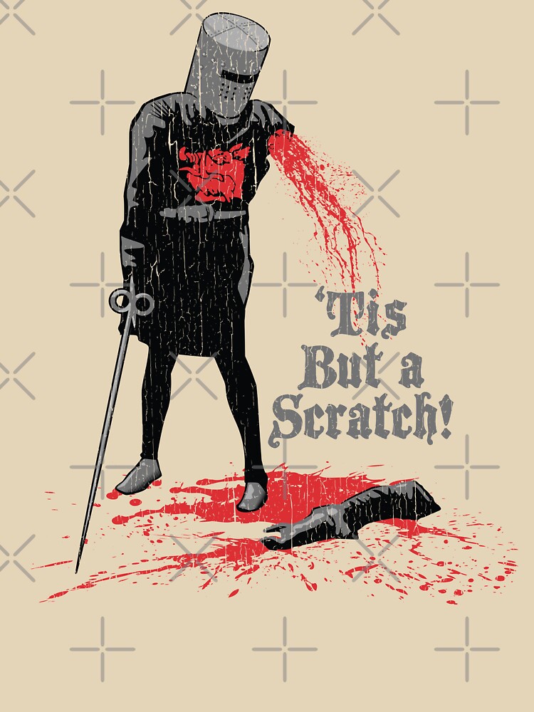 'Tis But A Scratch! Unisex Graphic T Shirt Short Sleeve Tee Everyday Casual Wear 3