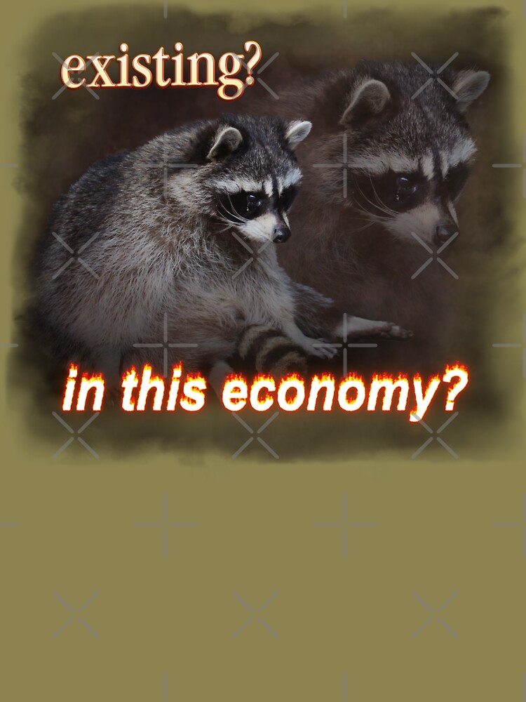 Existing? In This Economy? Sad Raccoon Word Art Unisex Hoodie Pullover Casual Streetwear Graphic Print 3