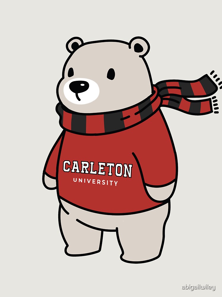 Carleton University Bear With Sweater Unisex Hoodie Pullover Casual Streetwear Graphic Print 3
