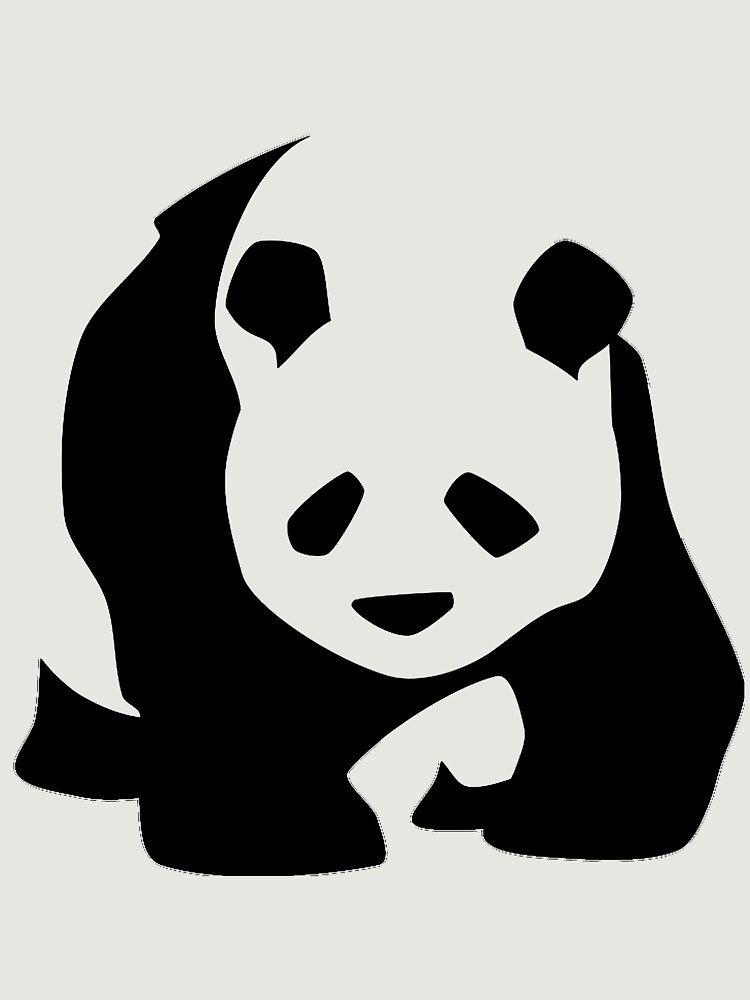 Panda 2 Unisex Hoodie Pullover Casual Streetwear Graphic Print 3