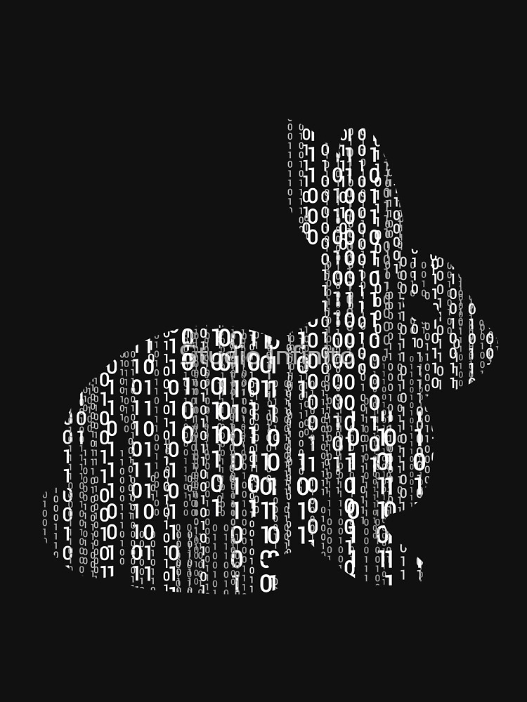 Follow The White Rabbit Unisex Hoodie Pullover Casual Streetwear Graphic Print 3