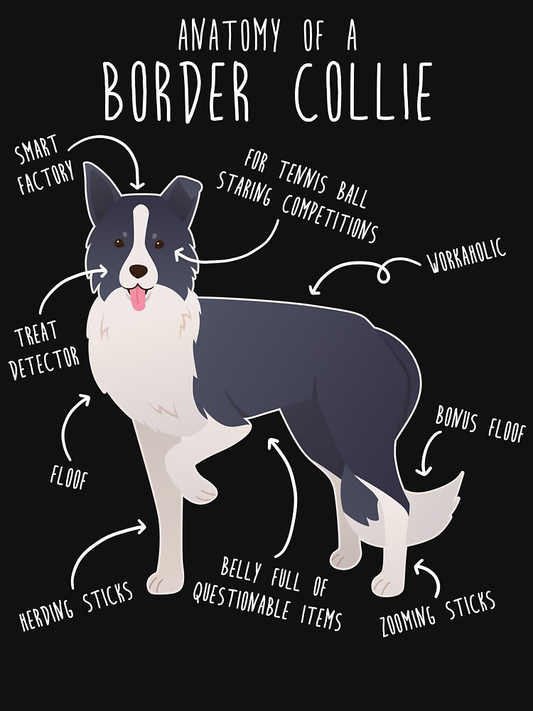Border Collie Dog Anatomy Unisex Hoodie Pullover Casual Streetwear Graphic Print 3