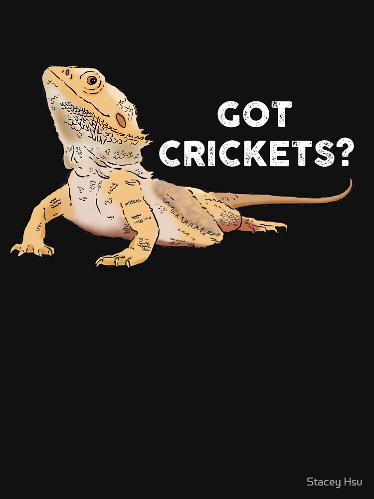 Funny Bearded Dragon, Got Crickets?, Bearded Dragon Lover Unisex Hoodie Pullover Casual Streetwear Graphic Print 3