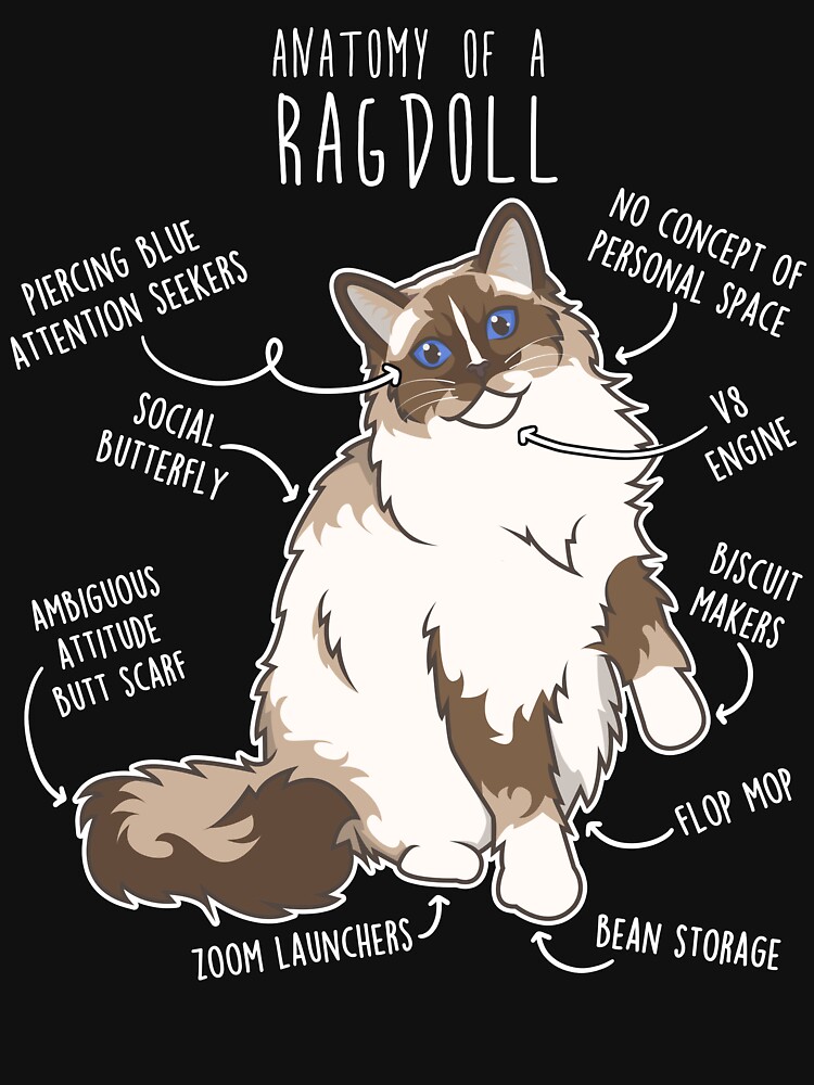 Ragdoll Cat Anatomy Unisex Sweater Crewneck Pullover Casual Streetwear Graphic Print 3