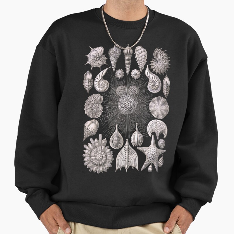 Haeckel - Radiolarians Etc Unisex Sweater Crewneck Pullover Casual Streetwear Graphic Print
