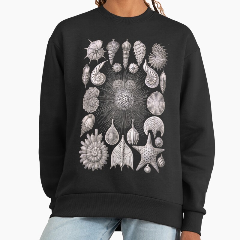 Haeckel - Radiolarians Etc Unisex Sweater Crewneck Pullover Casual Streetwear Graphic Print 2