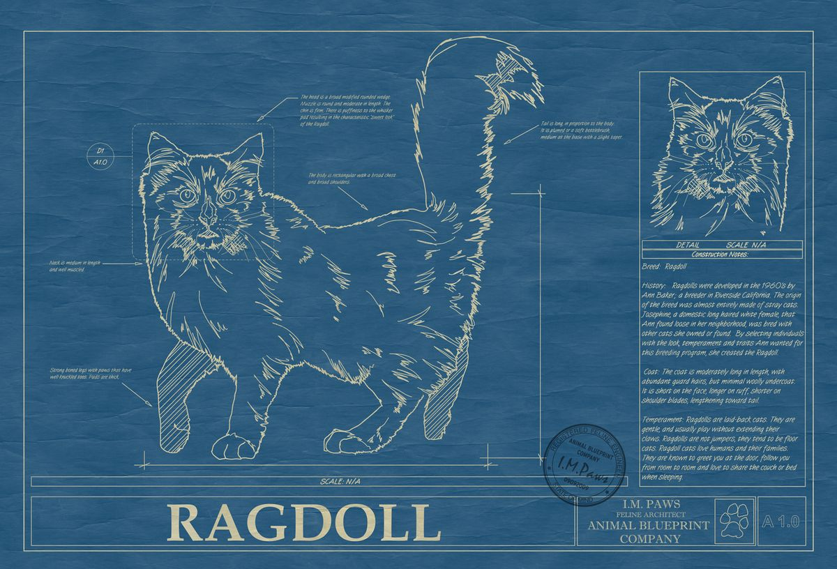 Personalized Dog Blueprint